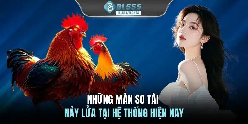 Những màn so tài nảy lửa tại hệ thống hiện nay